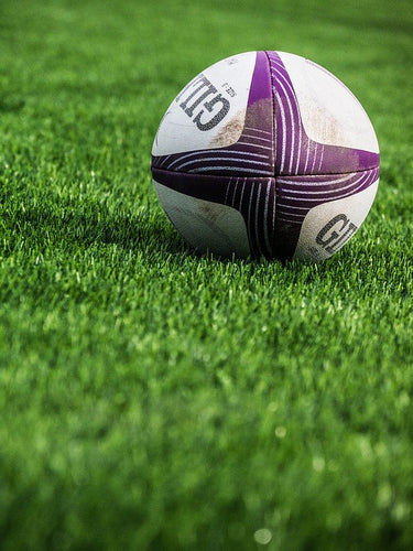 Rugby Union ball